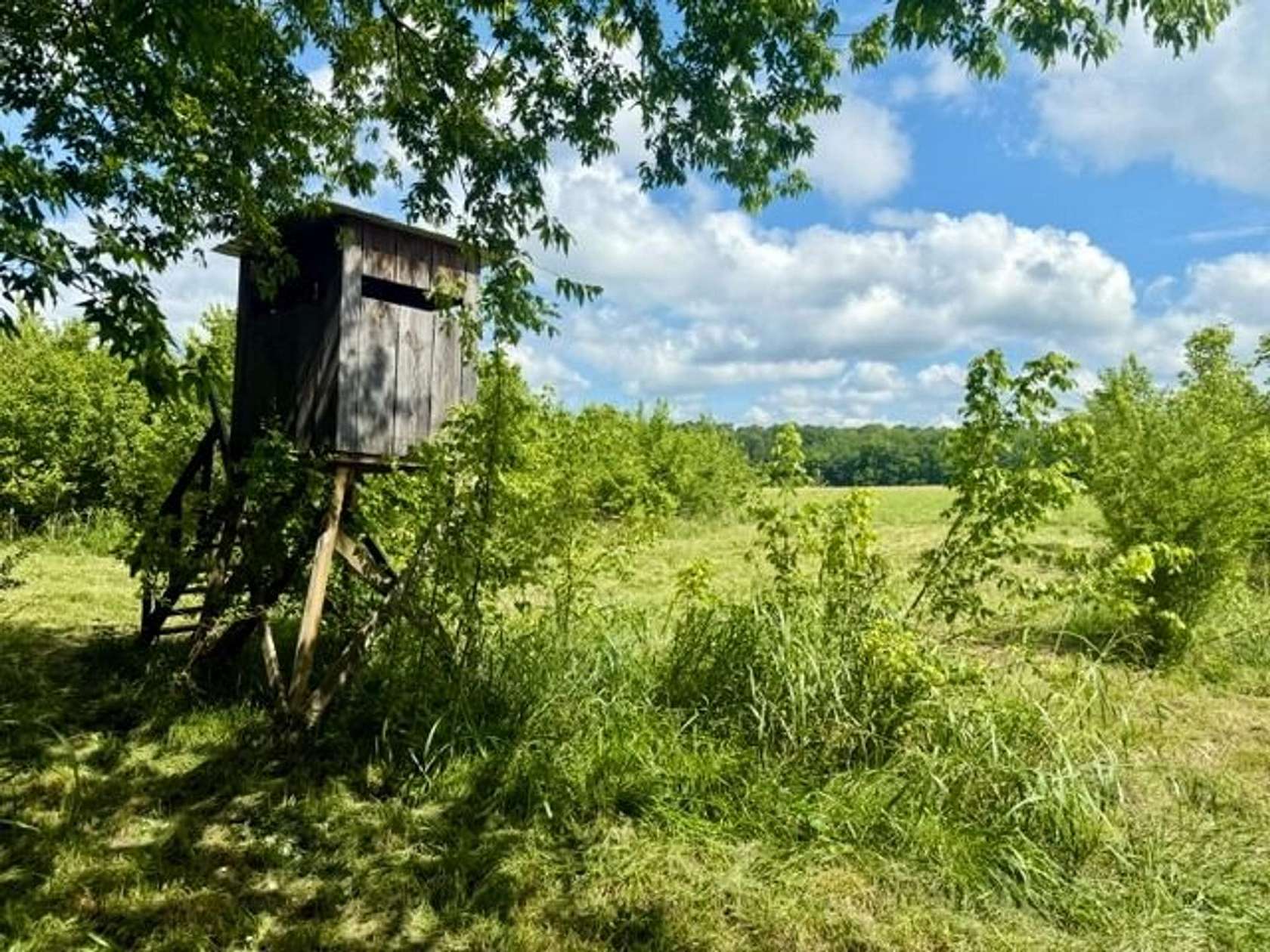80 Acres of Land for Sale in Hope, Arkansas