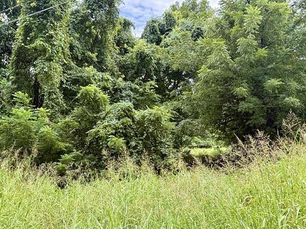 6.3 Acres of Residential Land for Sale in Springfield, Missouri