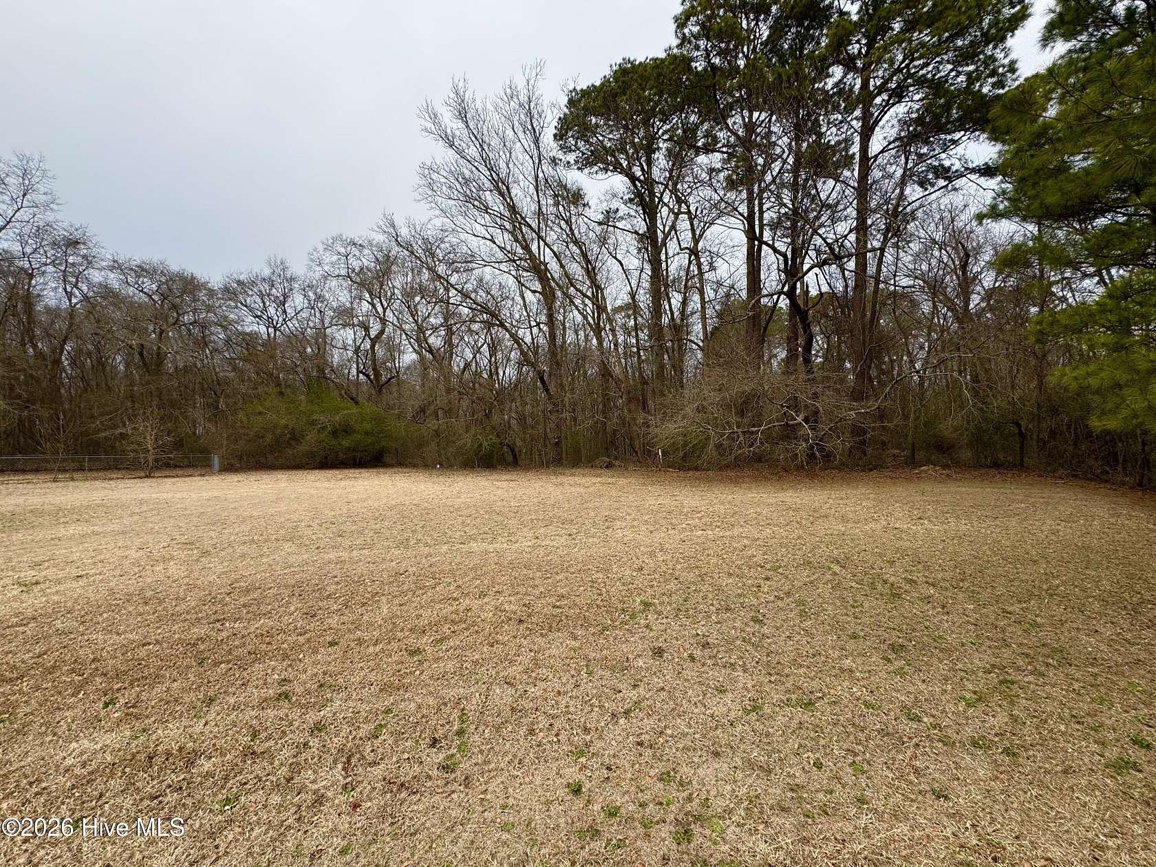 13.5 Acres of Recreational & Residential Land for Sale in Pikeville, North Carolina
