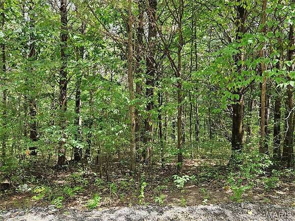 0.27 Acres of Residential Land for Sale in Hillsboro, Missouri