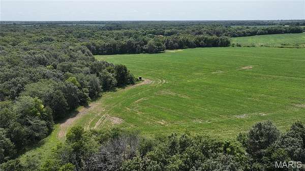 65 Acres of Land for Sale in New Florence, Missouri