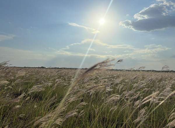 10 Acres of Land for Sale in Lubbock, Texas