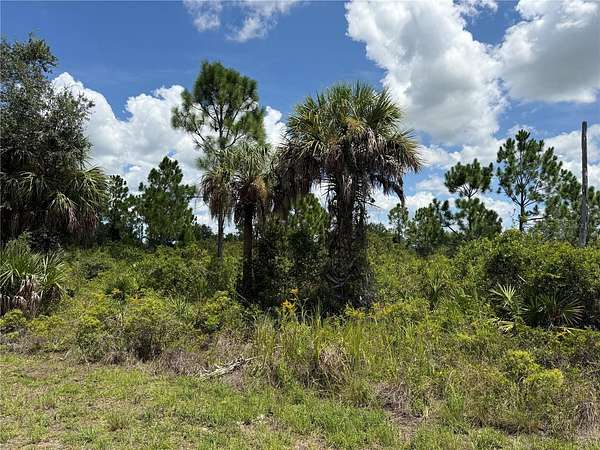 0.23 Acres of Residential Land for Sale in Port Charlotte, Florida