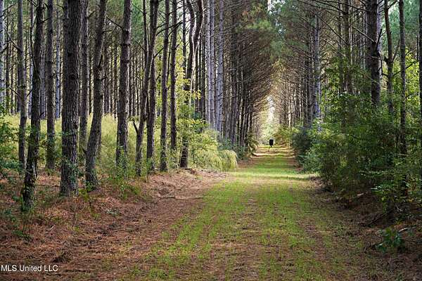 231 Acres of Recreational Land for Sale in Ruth, Mississippi
