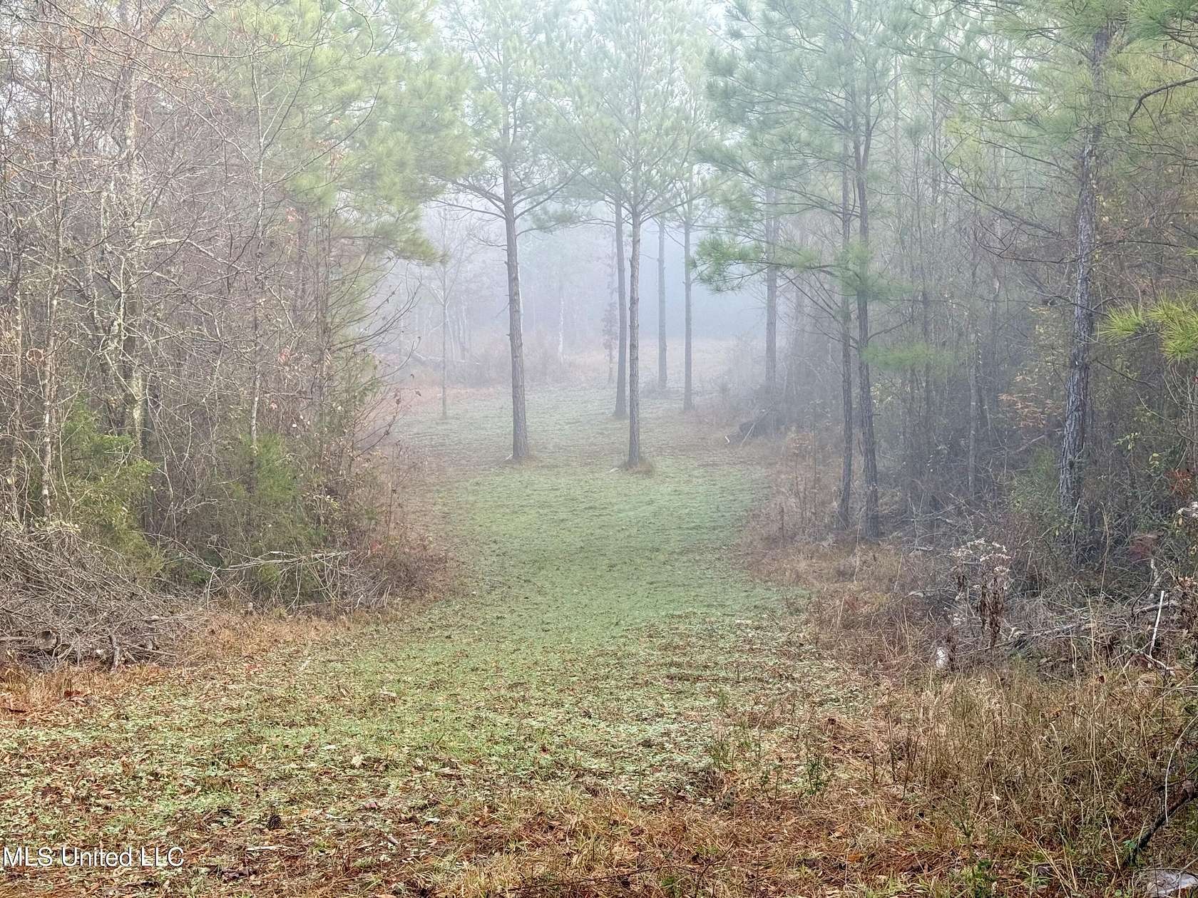 26 Acres of Recreational Land for Sale in Pickens, Mississippi