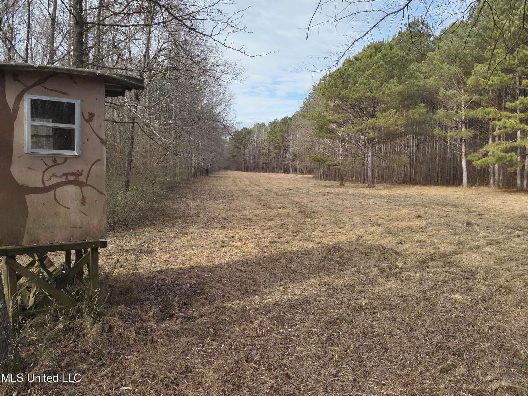 106 Acres of Recreational & Residential Land for Sale in Maben, Mississippi
