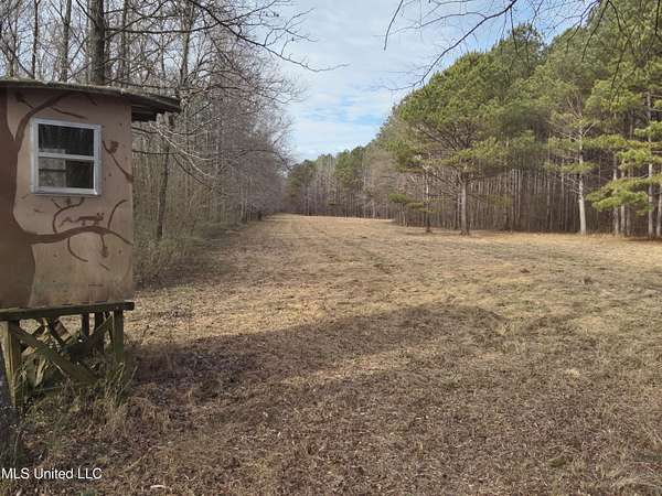 106 Acres of Recreational & Residential Land for Sale in Maben, Mississippi