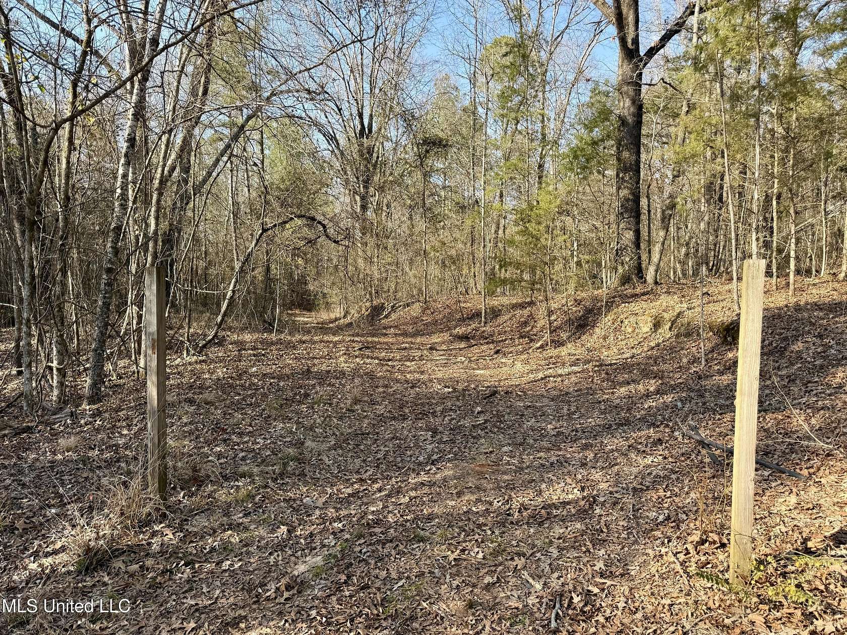 91 Acres of Recreational Land for Sale in Sallis, Mississippi