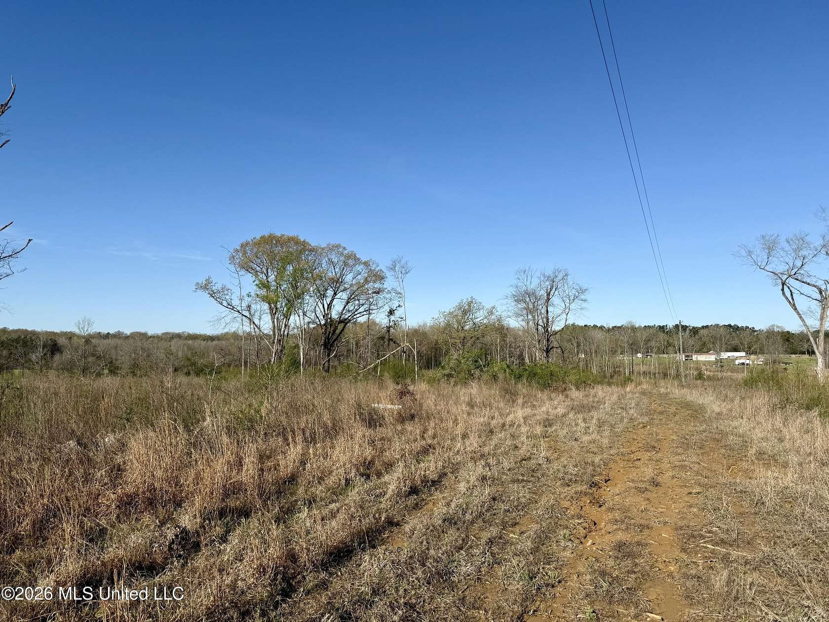 59.5 Acres of Recreational Land for Sale in Pickens, Mississippi