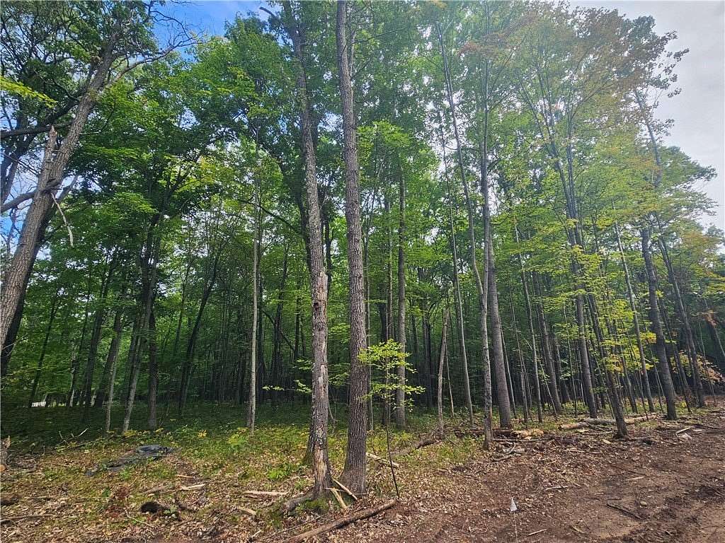 1.56 Acres of Residential Land for Sale in Webster, Wisconsin