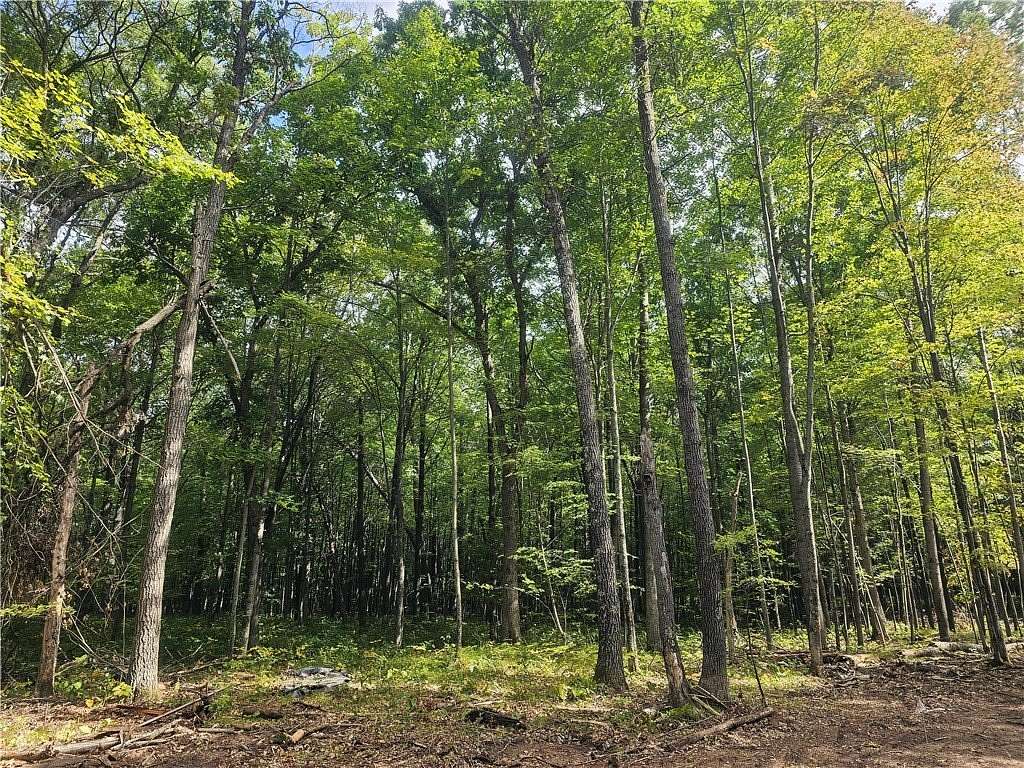 1.56 Acres of Residential Land for Sale in Webster, Wisconsin