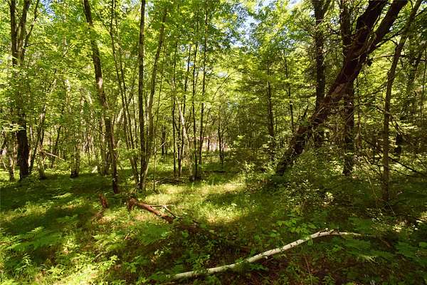 2.44 Acres of Residential Land for Sale in Webster, Wisconsin