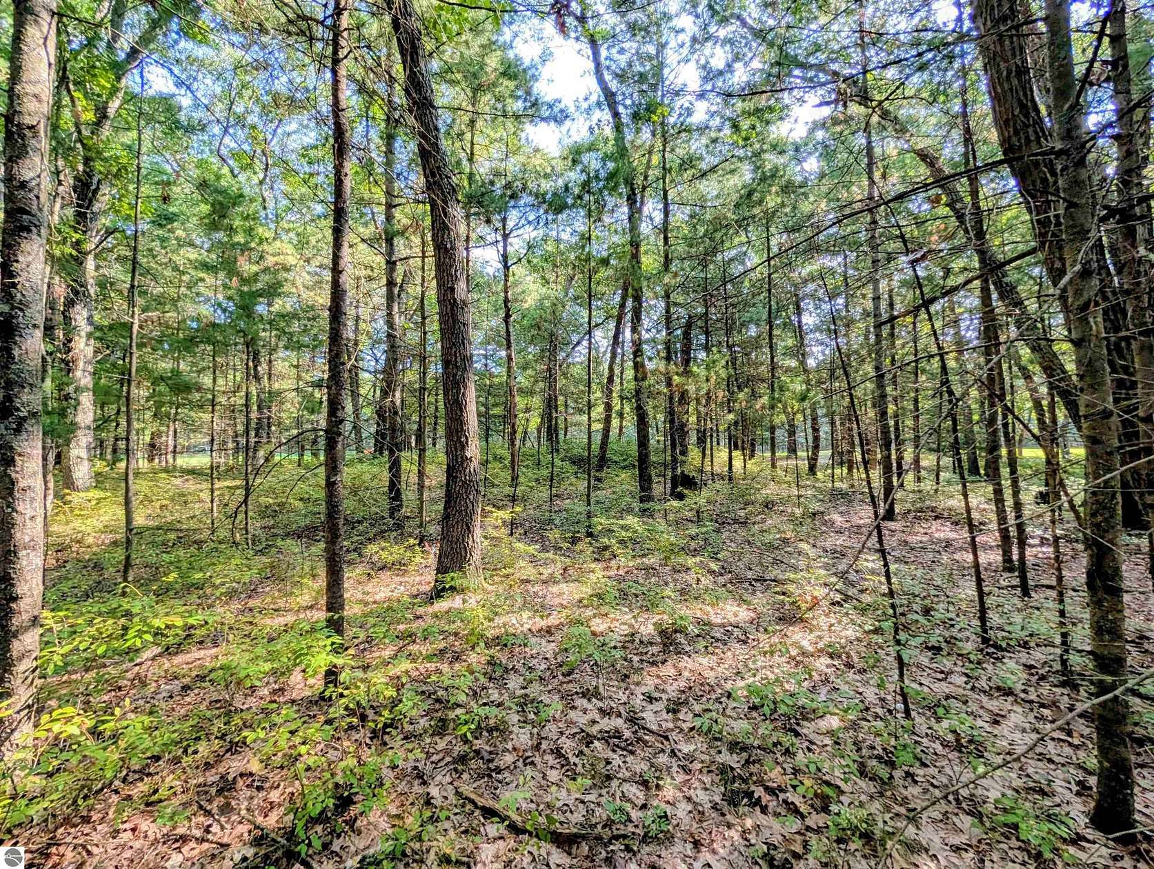 0.74 Acres of Land for Sale in Au Gres, Michigan