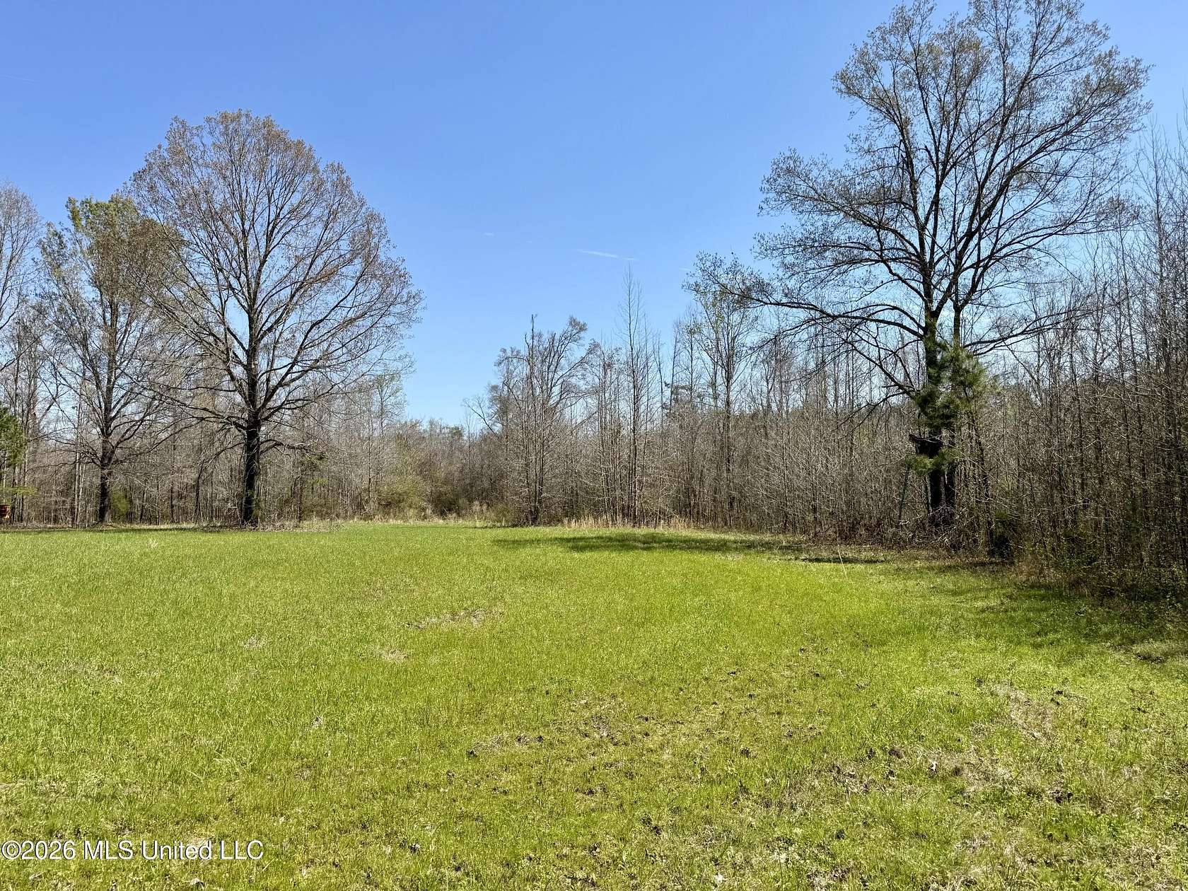 60 Acres of Recreational & Residential Land for Sale in Lexington, Mississippi