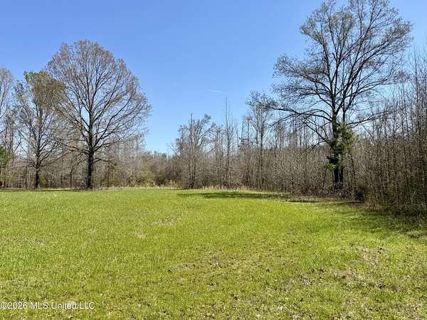 60 Acres of Recreational & Residential Land for Sale in Lexington, Mississippi
