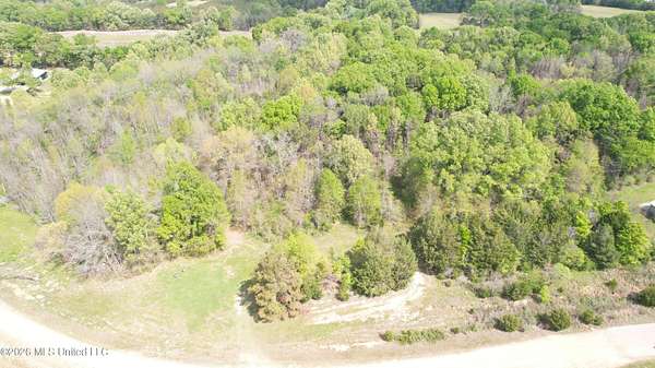 11 Acres of Recreational & Residential Land for Sale in Flora, Mississippi