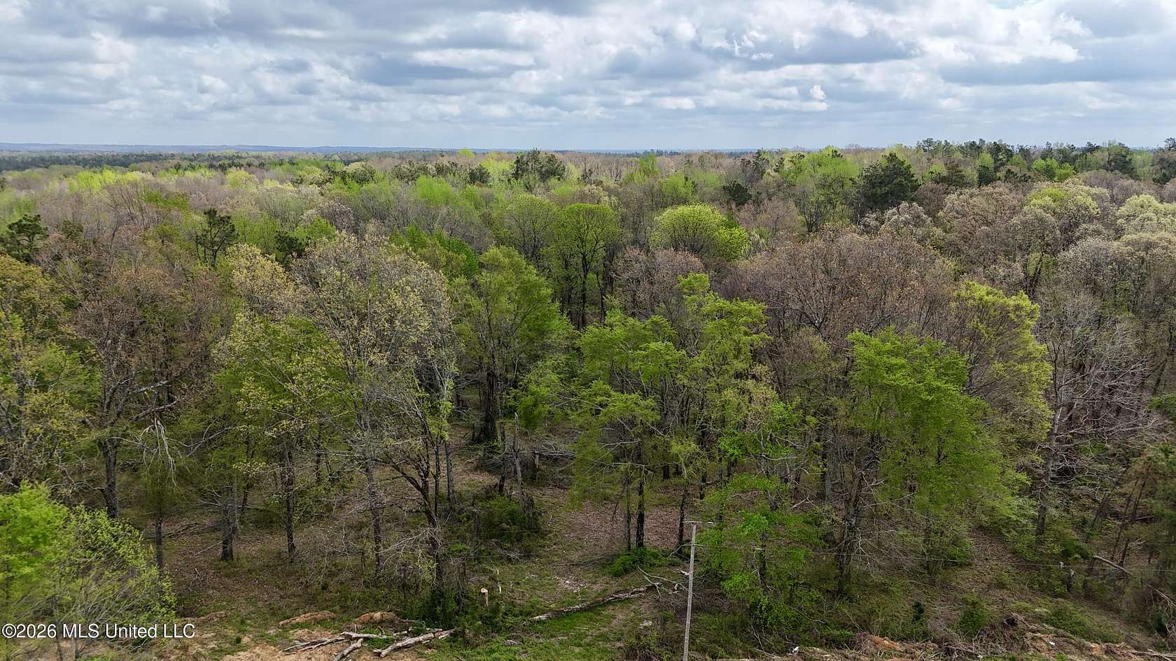 35 Acres of Recreational & Residential Land for Sale in Holly Springs, Mississippi