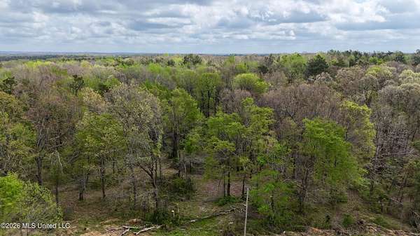 35 Acres of Recreational & Residential Land for Sale in Holly Springs, Mississippi