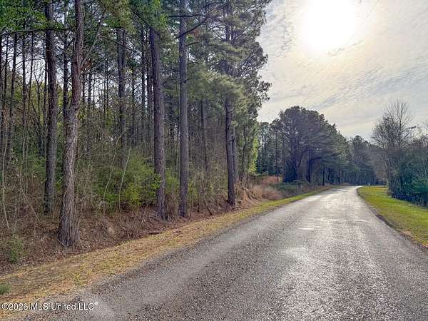 27 Acres of Recreational & Residential Land for Sale in Carthage, Mississippi