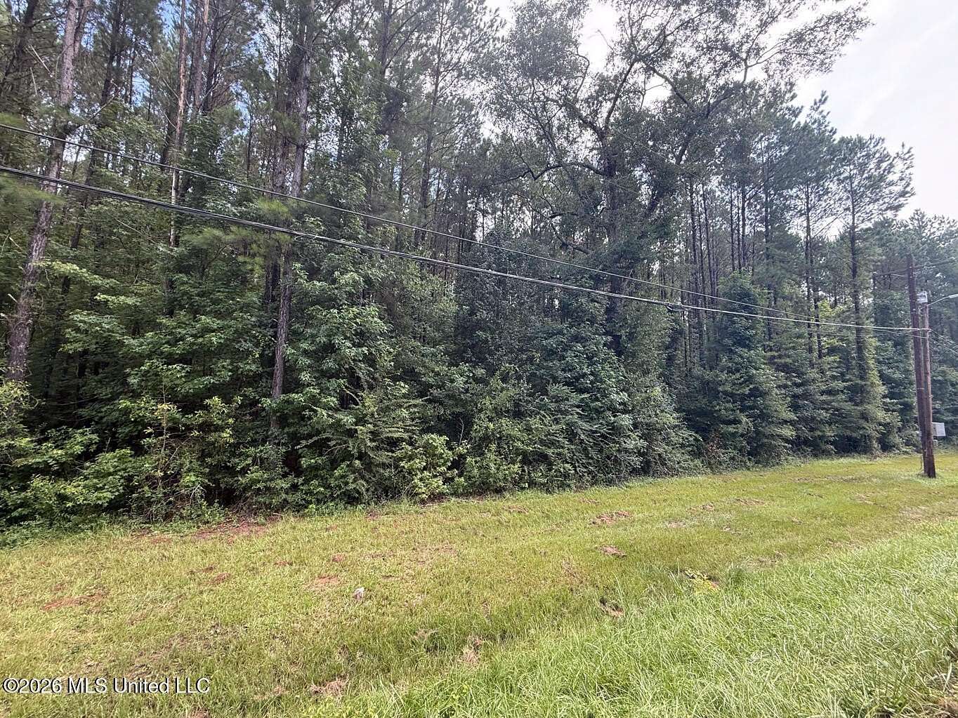 25.5 Acres of Recreational & Residential Land for Sale in Carthage, Mississippi
