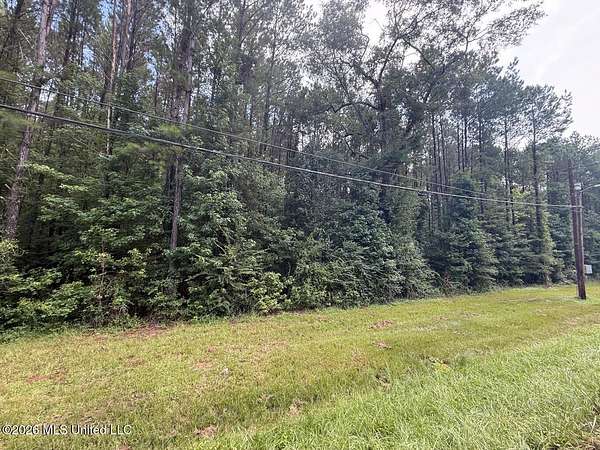 25.5 Acres of Recreational & Residential Land for Sale in Carthage, Mississippi
