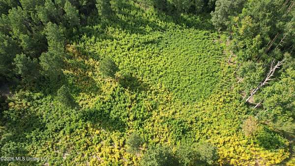 15.2 Acres of Recreational & Residential Land for Sale in Liberty, Mississippi
