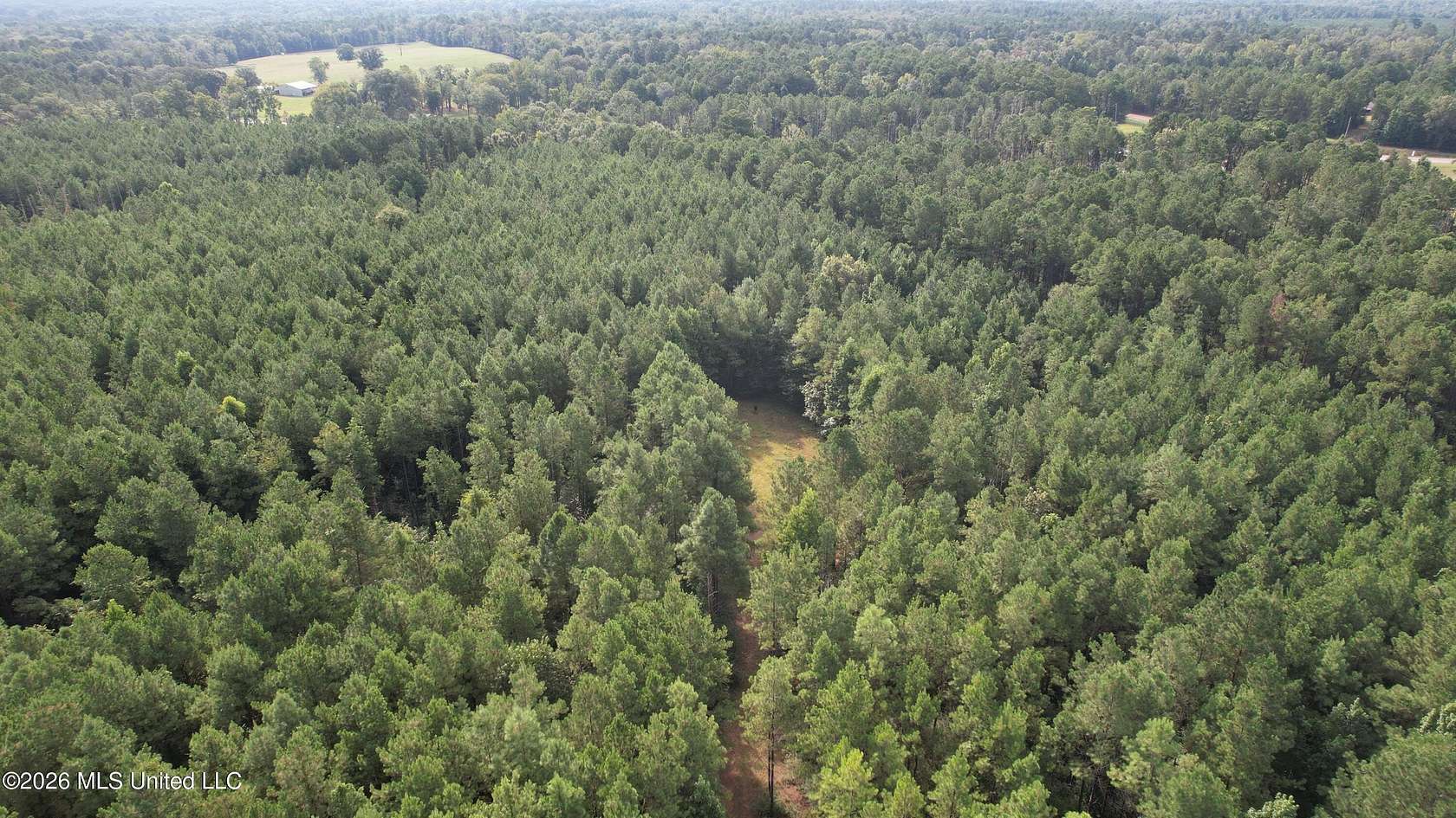 15.2 Acres of Recreational & Residential Land for Sale in Liberty, Mississippi