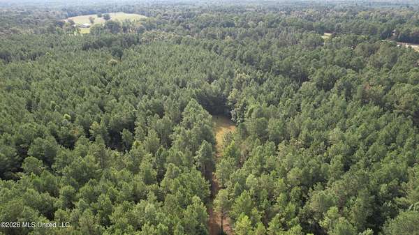 15.2 Acres of Recreational & Residential Land for Sale in Liberty, Mississippi