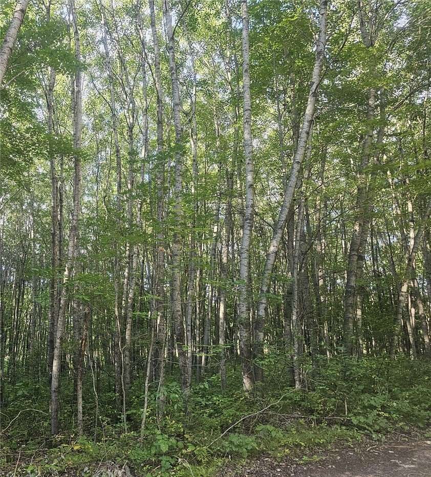 1.56 Acres of Residential Land for Sale in Webster, Wisconsin