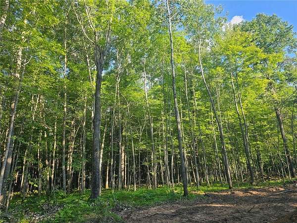 1.56 Acres of Residential Land for Sale in Webster, Wisconsin