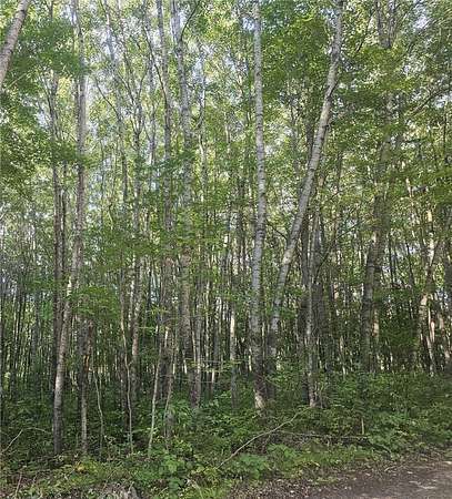 1.56 Acres of Residential Land for Sale in Webster, Wisconsin