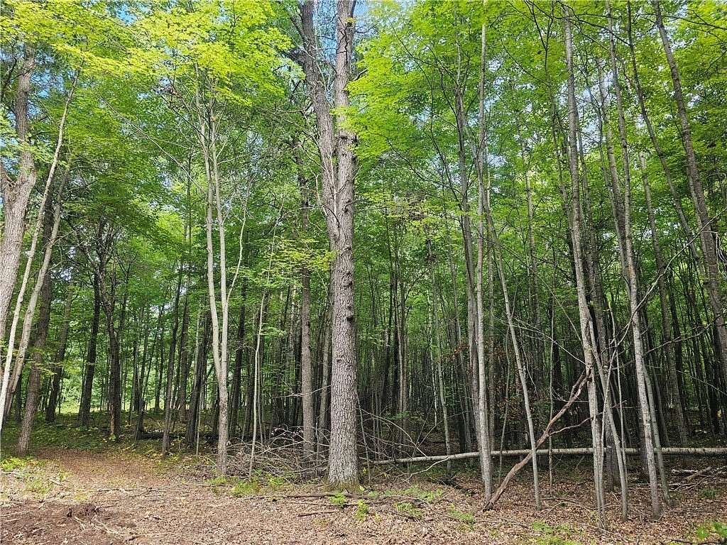 1.56 Acres of Residential Land for Sale in Webster, Wisconsin