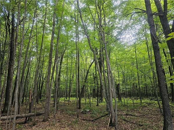 1.56 Acres of Residential Land for Sale in Webster, Wisconsin