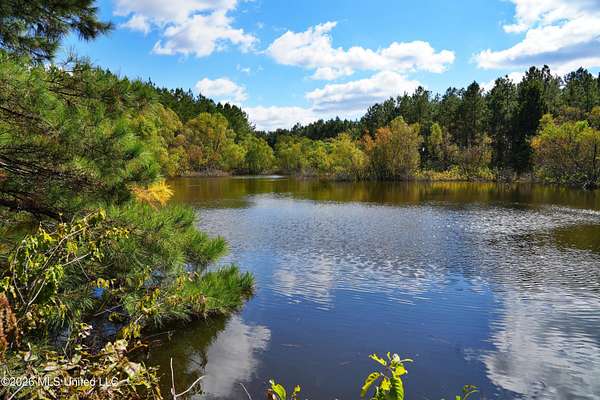 111 Acres of Recreational Land for Sale in Ruth, Mississippi