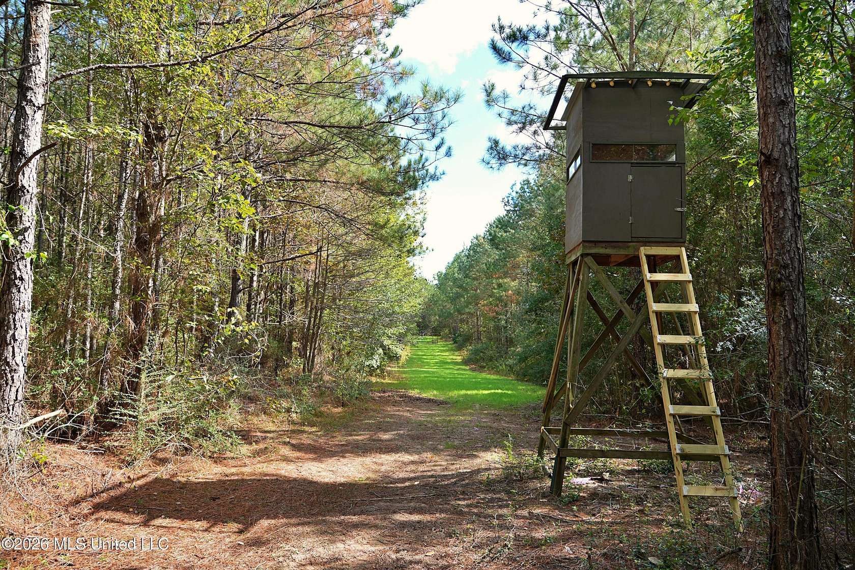 120 Acres of Recreational Land for Sale in Ruth, Mississippi