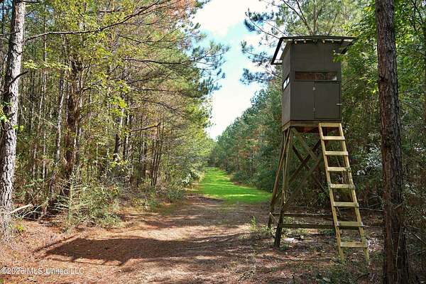 120 Acres of Recreational Land for Sale in Ruth, Mississippi