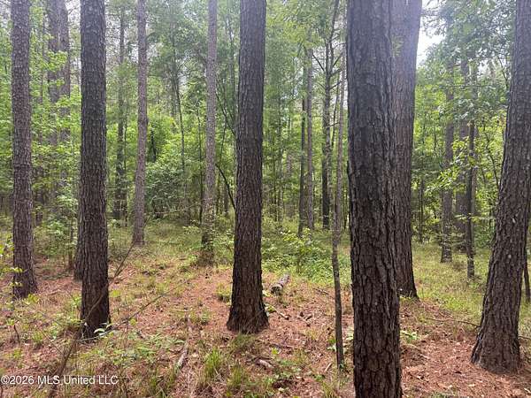 72 Acres of Recreational Land for Sale in Pinola, Mississippi
