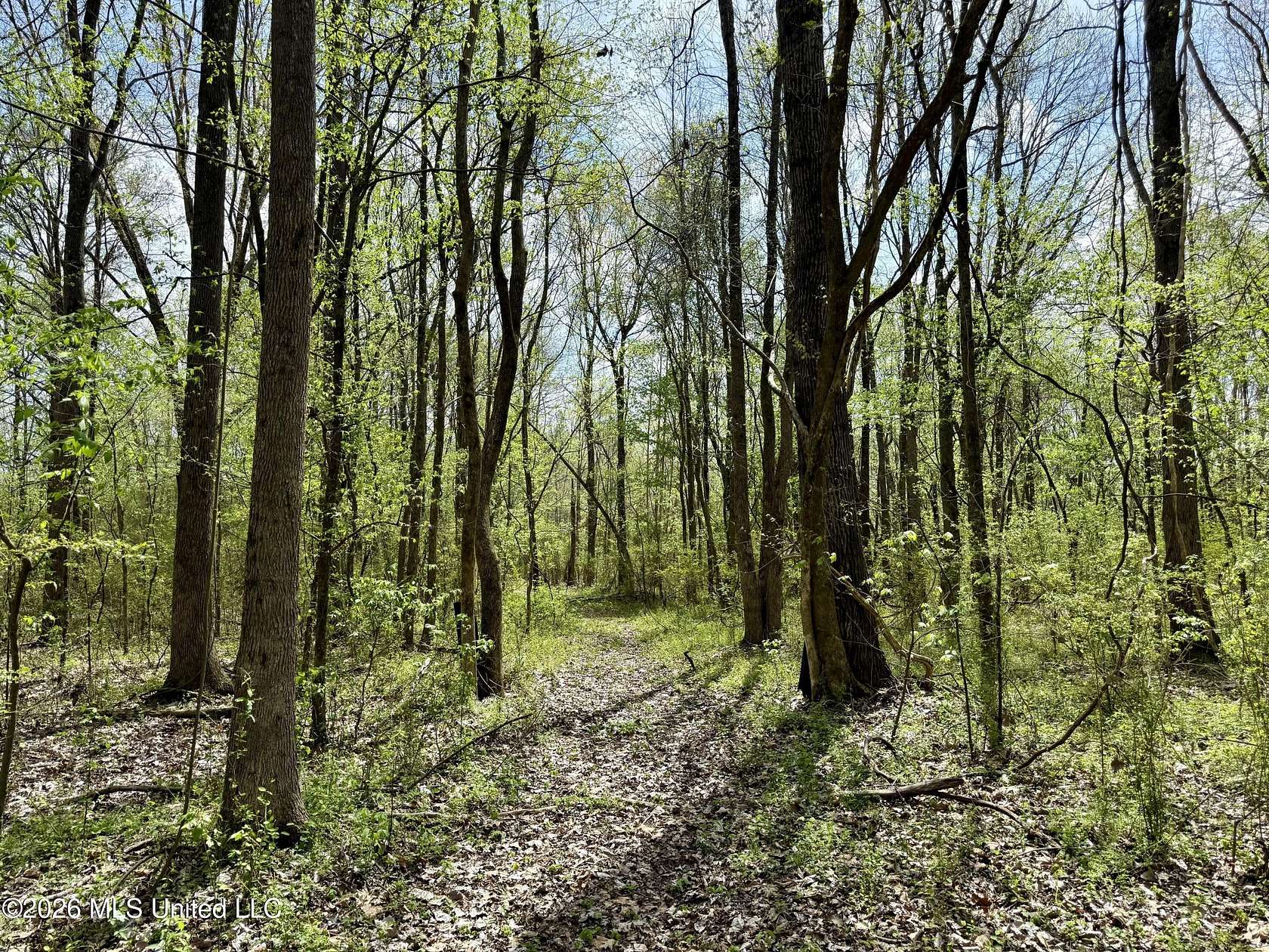 44 Acres of Recreational & Residential Land for Sale in Olive Branch, Mississippi