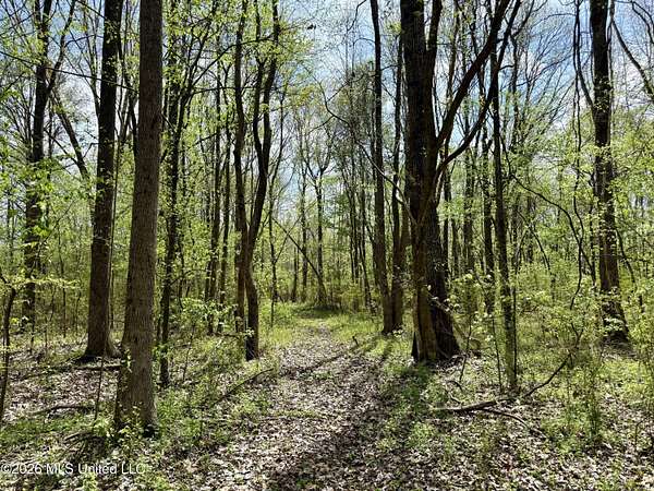 44 Acres of Recreational & Residential Land for Sale in Olive Branch, Mississippi