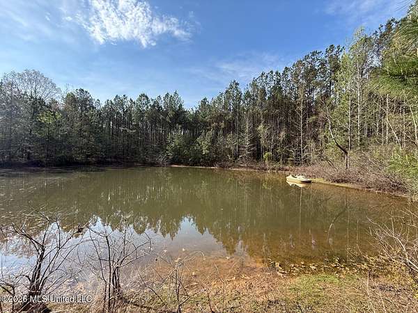 33 Acres of Recreational & Residential Land for Sale in Carthage, Mississippi