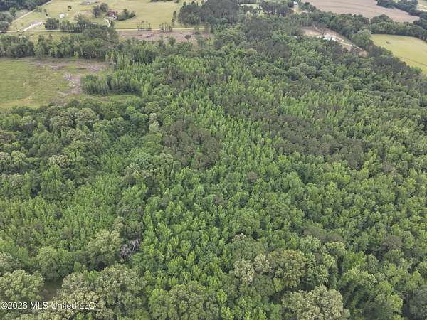 45 Acres of Recreational & Residential Land for Sale in Canton, Mississippi