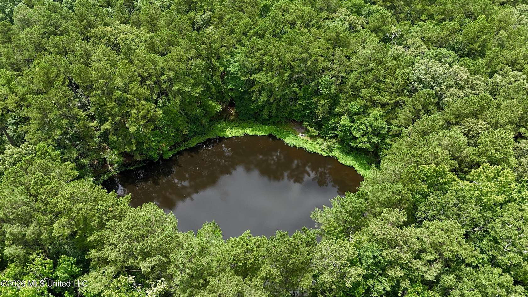 19 Acres of Recreational & Residential Land for Sale in Raleigh, Mississippi