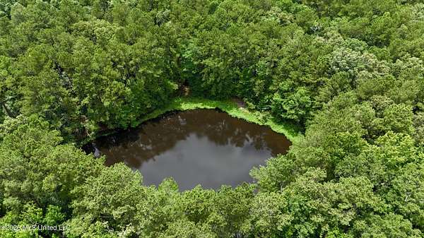 19 Acres of Recreational & Residential Land for Sale in Raleigh, Mississippi