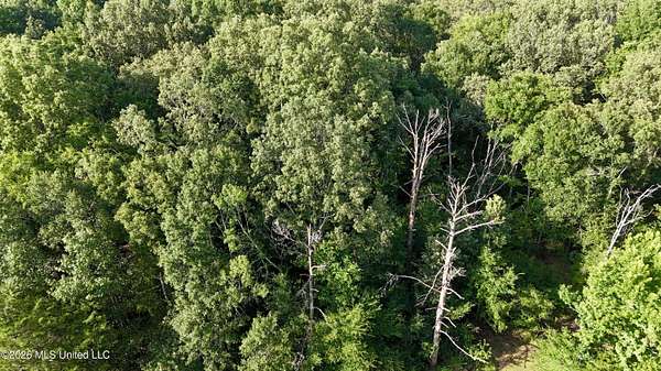 0.36 Acres of Residential Land for Sale in Madison, Mississippi