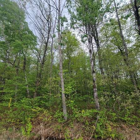 1.89 Acres of Residential Land for Sale in Spooner, Wisconsin