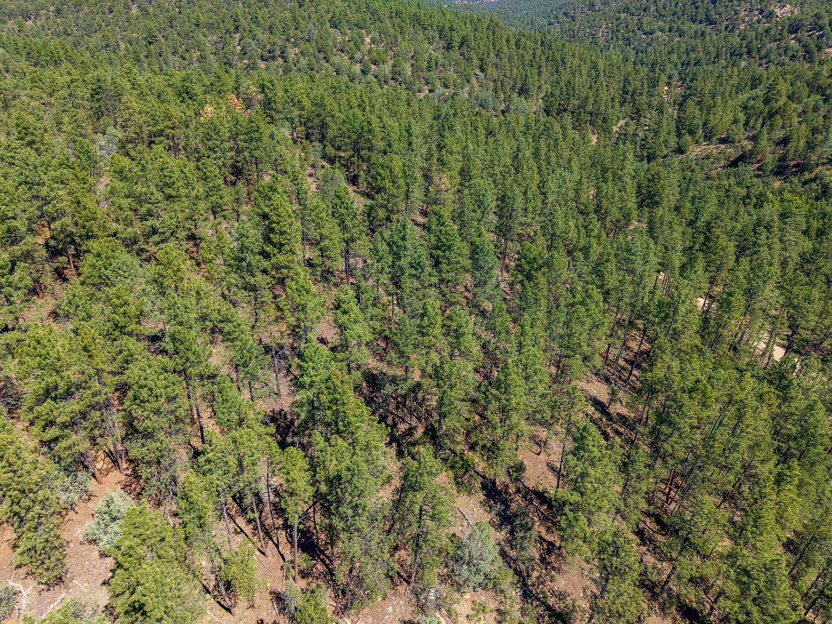 48 Acres of Land for Sale in Walsenburg, Colorado