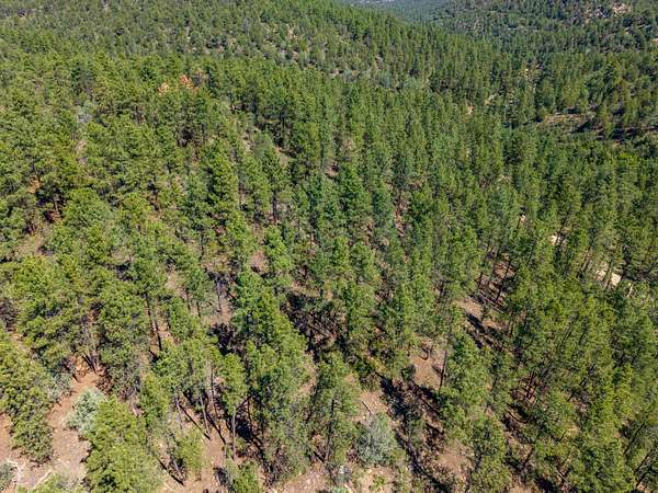 48 Acres of Land for Sale in Walsenburg, Colorado