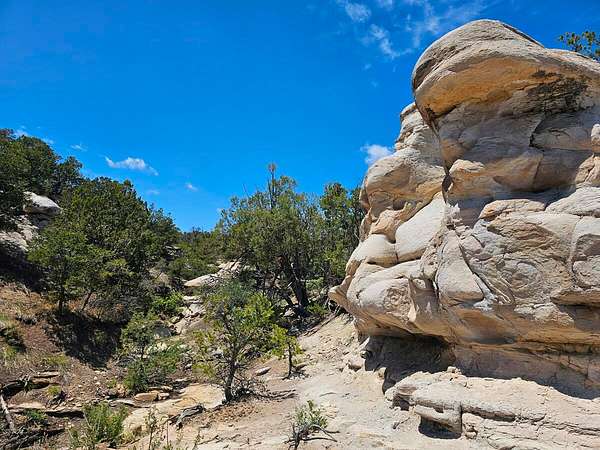 35 Acres of Land for Sale in Aguilar, Colorado