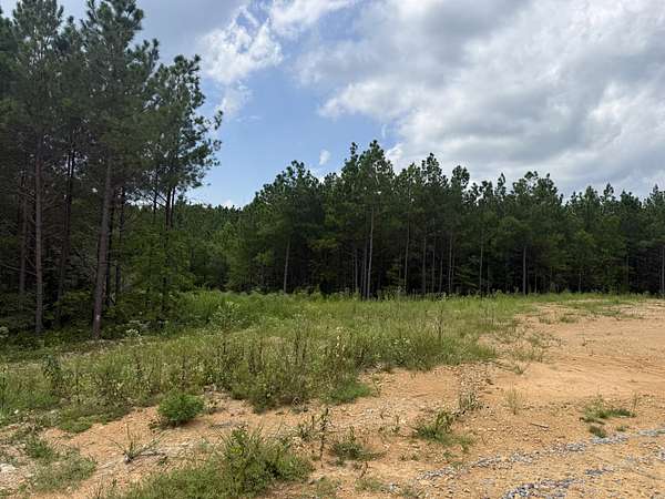 5 Acres of Residential Land for Sale in Erin, Tennessee