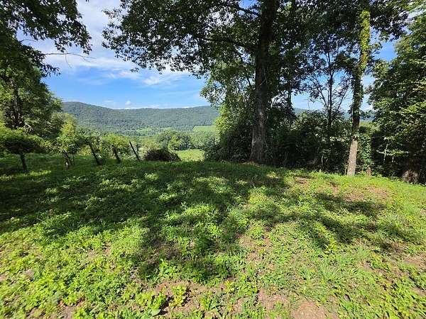 1 Acre of Residential Land for Sale in Elk Creek, Virginia